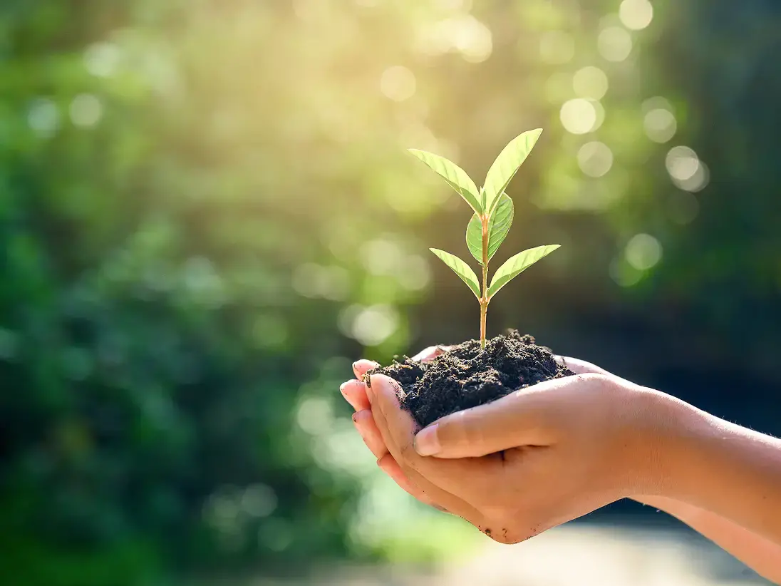 自然のイメージ写真