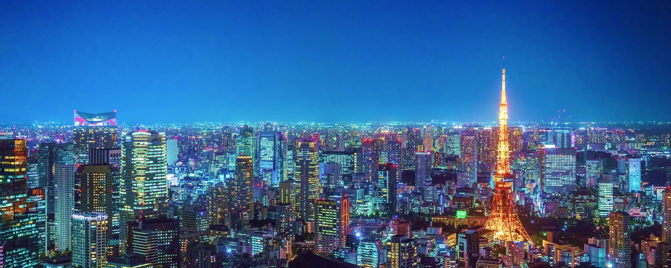 社会のイメージ写真